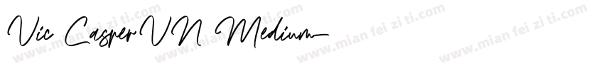 Vic CasperVN Medium字体转换